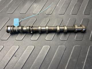 распредвал Audi A8 D3 [рестайлинг] 2007, 4.2 л., BVJ, бензин, седан, 079109101EA