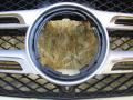 решетка радиатора Mercedes-Benz GLS-Класс X167 2019, 1678855704 - фото №2