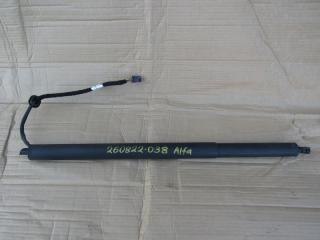 амортизатор крышки багажника (3-5 двери) Alfa Romeo Stelvio 1 поколение 2019, 505603960