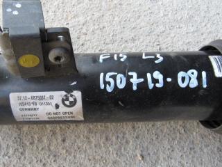 амортизатор задний левый BMW X5 F15 2017, 4.4 л., N63 B44 B, бензин, АКПП, внедорожник 5 дв., 6875087