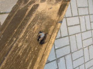 защита днища BMW 5 серия G30/G31 2017, 2.0 л., B48 B20 B, бензин, универсал, 748506