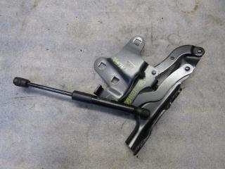 петля капота левая Alfa Romeo Stelvio 1 поколение 2019