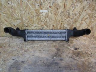 интеркулер Mercedes-Benz C-Класс W203/S203/CL203 2000, 2025001100