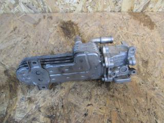 охладитель EGR / Радиатор EGR Volkswagen Passat B6 2005, 038131513J