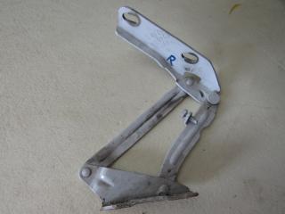 петля капота правая Mercedes-Benz Sprinter 2 поколение [рестайлинг] (W906) 2016, A9067500121