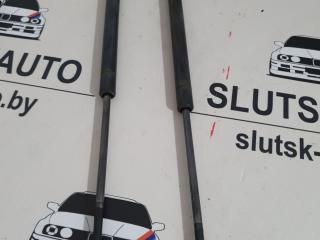 амортизатор капота BMW X5 E53 [рестайлинг] 2004, 3.0 л., бензин, АКПП, серый, внедорожник 5 дв., правый руль