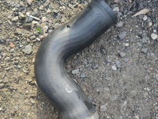 патрубок интеркулера Mercedes-Benz M-Класс W163 [рестайлинг] W163 2005, 2.7 л., дизель, АКПП, синий, внедорожник 5 дв., правый руль