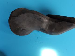 патрубок воздушного фильтра BMW 5 серия E39 [рестайлинг] 2001, 3.0 л., D, дизель, МКПП, седан, задний привод