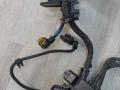 проводка двигателя BMW X3 G01 [рестайлинг] G01 2022, 2.0 л., B46 B20 B, бензин, АКПП, 475, внедорожник 5 дв., задний привод, 5A01D59, 5A09BF5, 12515A01D59 - фото №13