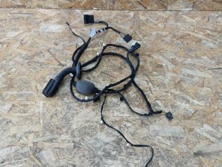 дверная проводка BMW X7 G07 [рестайлинг] G07 2023, 3.0 л., B58B30P, бензин, АКПП, a96, внедорожник 5 дв., полный привод, 06060961, 6060961, 5A47913