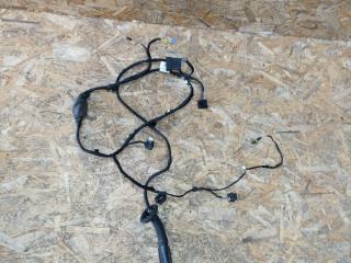 дверная проводка BMW X7 G07 [рестайлинг] G07 2023, 3.0 л., B58B30P, бензин, АКПП, a96, внедорожник 5 дв., полный привод, 06060961, 6060961, 5A47913