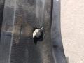 защита днища BMW X7 G07 2019, 4.4 л., N63B44D, бензин, АКПП, 416, внедорожник 5 дв., полный привод, 51757424882, 7424882 - фото №3