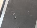 пол багажника BMW X5 G05 2022, 3.0 л., B58B30C, бензин, АКПП, c27(arktis-grau brillanteffekt), внедорожник 5 дв., полный привод, правый руль, 5A0B6C1 - фото №5