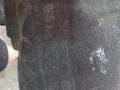 защита арок задняя левая (подкрылок) BMW X5 G05 2022, 3.0 л., B58B30C, бензин, АКПП, c27, внедорожник 5 дв., полный привод, 51717478757, 7478757 - фото №4