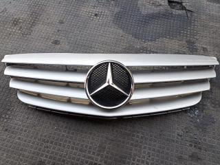 решетка радиатора Mercedes-Benz A-Класс W169 2006, A1698800183