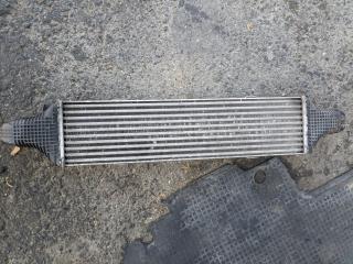 интеркулер Mercedes-Benz E-Класс W212/S212/C207/A207 W212 2012, 2.1 л., CDi, OM 651.924, дизель, АКПП, серый металлик, седан, задний привод, правый руль, A2045000200