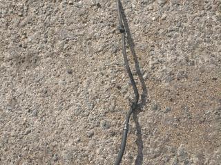 шланг (трубка) АКПП Mercedes-Benz E-Класс W211/S211 [рестайлинг] 2007, 2.1 л., OM 646.821, дизель, АКПП, серебристый, седан, правый руль, A6461802330