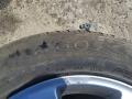 шина  - фото №2