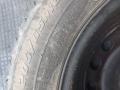 шина  - фото №4