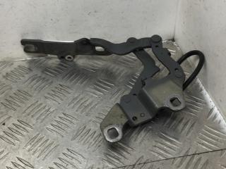 петля капота левая BMW 3 серия E90/E91 [рестайлинг] 2010, 2.0 л., N47 D20 C, дизель, МКПП, седан, задний привод, правый руль, 7115263, 41617210677