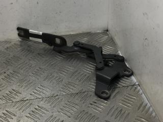 петля капота правая BMW 3 серия E90/E91 [рестайлинг] 2010, 2.0 л., N47 D20 C, дизель, МКПП, седан, задний привод, правый руль, 41617210678, 7115264