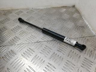 амортизатор капота BMW X5 E53 [рестайлинг] E53 2005, 3.0 л., M57 D30 (306D2), дизель, АКПП, внедорожник 5 дв., 8402551, 51238402551