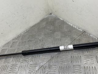 амортизатор крышки багажника (3-5 двери) BMW X5 E53 [рестайлинг] E53 2005, 3.0 л., M57 D30 (306D2), дизель, АКПП, внедорожник 5 дв., 8402405, 51248402405