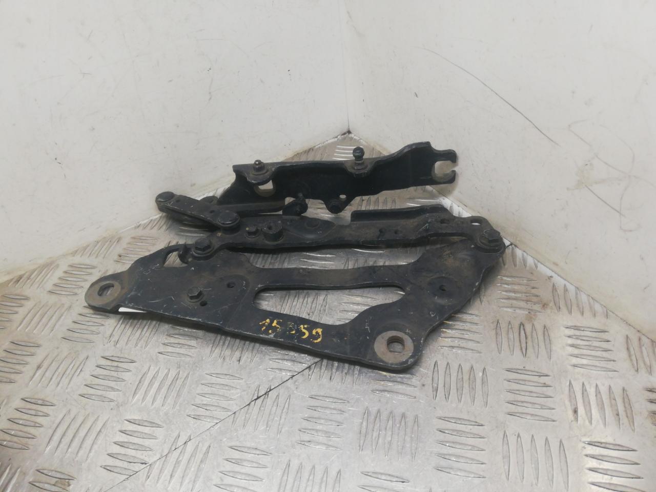 петля капота левая BMW 5 серия F07/F10/F11 2010, лифтбэк, 7046323 - фото №1