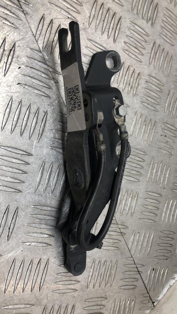 петля капота левая BMW 3 серия E90/E91/E92/E93 E90 2007, 3.0 л., M57 D30 (306D3), дизель, МКПП, седан, задний привод, правый руль, 7115263, 41617210677 - фото №1