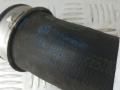 патрубок интеркулера Volkswagen Passat B6 2006, 1.9 л., дизель, 1K0145831L - фото №3