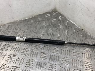 амортизатор крышки багажника (3-5 двери) BMW X5 E53 2003, 3.0 л., M57 D30 (306D1), дизель, АКПП, внедорожник 5 дв., 51248402405