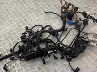 проводка двигателя BMW 3 серия E90/E91/E92/E93 [рестайлинг] E91 2008, 3.5 л., M57D30 (306D5), дизель, АКПП, sonderlackierung (490), универсал, задний привод, правый руль, 12517799736