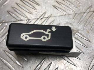 кнопка открытия багажника BMW X5 E70 2008, 3.0 л., N52 B30, бензин, АКПП, spacegrau metallic (a52), внедорожник 5 дв., полный привод, 8375580, 61318375580