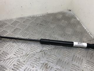 амортизатор капота BMW X5 E70 2008, 3.5 л., M57D30 (306D5), дизель, АКПП, spacegrau metallic (a52), внедорожник 5 дв., полный привод, правый руль, 7148346, 51237148346