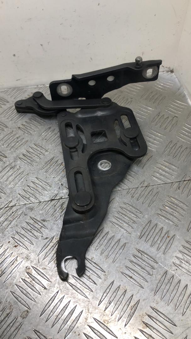 петля капота левая BMW X5 E70 2008, 3.5 л., M57D30 (306D5), дизель, АКПП, spacegrau metallic (a52), внедорожник 5 дв., полный привод, правый руль, 41007198617, 7148347 - фото №1