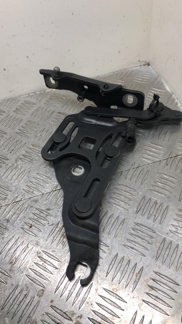 петля капота правая BMW X5 E70 2008, 3.5 л., M57D30 (306D5), дизель, АКПП, spacegrau metallic (a52), внедорожник 5 дв., полный привод, правый руль, 7148348, 41007198618 - фото №1