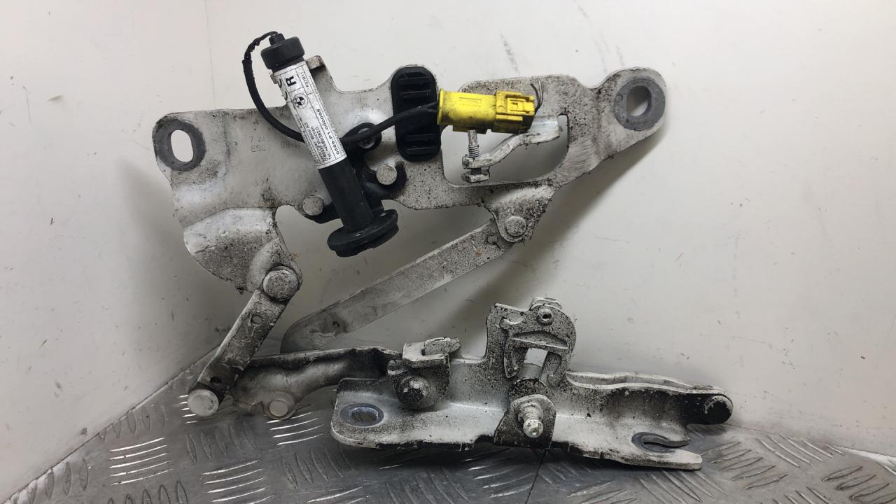 петля капота правая BMW 6 серия F06/F12/F13 F13 2014, 4.0 л., дизель, АКПП, alpinweiß uni (300), купе, задний привод, правый руль, 41007270884, 7249888 - фото №1