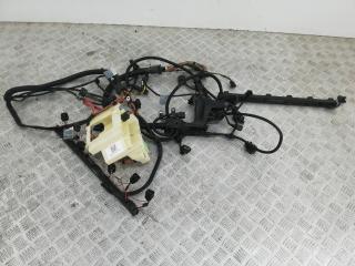 проводка двигателя BMW Z4 E85 2003, 3.0 л., M54 B30 (306S3), бензин