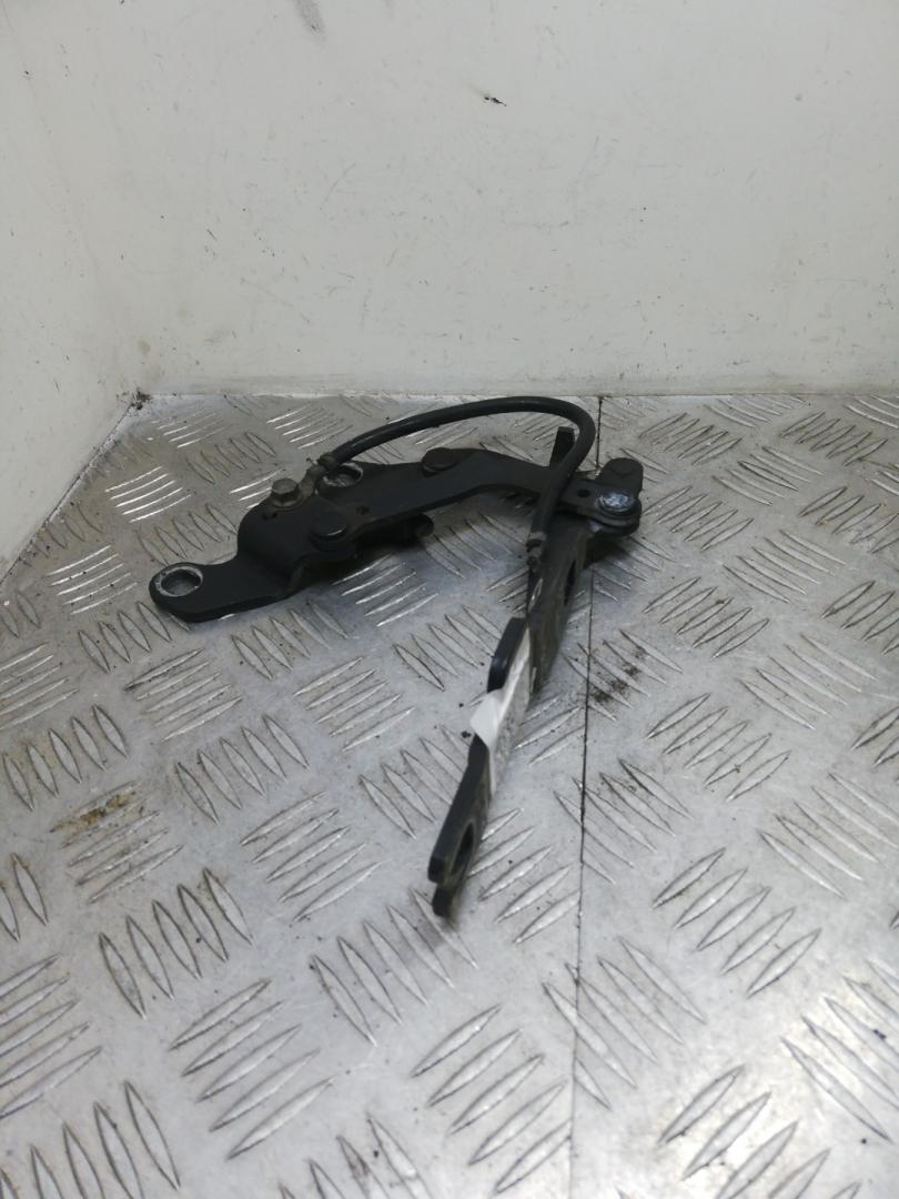 петля капота левая BMW 3 серия E90/E91/E92/E93 E91 2006, 3.0 л., M57 D30 (306D3), дизель, АКПП, sparkling graphite (a22), универсал, задний привод, правый руль, 7115263, 41617210677 - фото №1