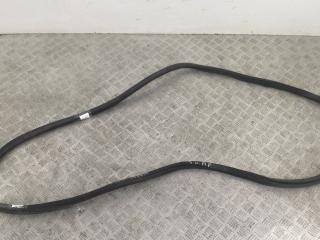 уплотнитель двери BMW 7 серия F01/F02 2010, 7179131