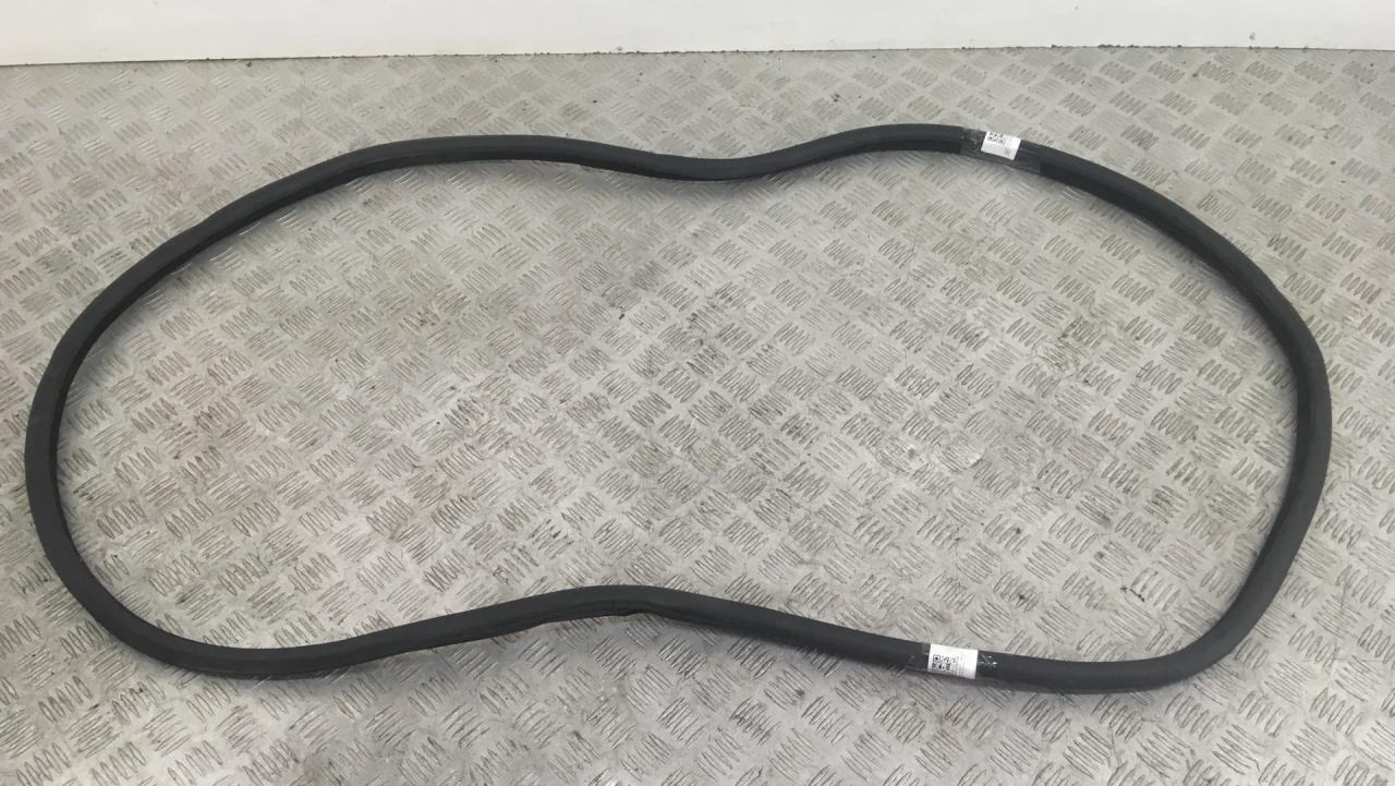 уплотнитель двери BMW 5 серия F07/F10/F11 2011, 7182288 - фото №1