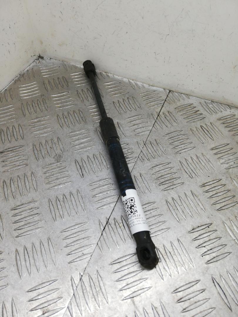 амортизатор капота BMW 5 серия F07/F10/F11 F10 2012, 3.5 л., бензин, АКПП, black sapphire metallic (475), седан, полный привод, 51237309119 - фото №1