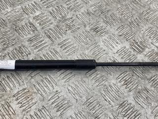 амортизатор капота BMW X5 E70 2010, 3.0 л., N52 B30 AF, бензин, АКПП, белый alpinweiß uni (300), внедорожник 5 дв., полный привод, 7148346, 51237148346