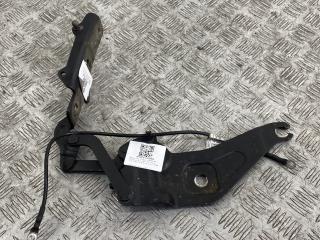 петля капота правая BMW X5 E70 [рестайлинг] E70 2012, 3.0 л., N57 D30 A, дизель, АКПП, black sapphire metallic (475), внедорожник 3 дв., полный привод, правый руль, 7208628, 41007198618