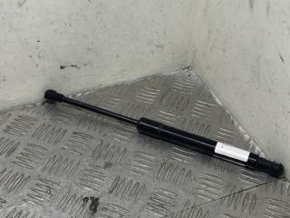 амортизатор капота BMW 5 серия E60/E61 [рестайлинг] 2009, 2.0 л., N47 D20 C, дизель, МКПП, spacegrau, седан, задний привод, правый руль, 51237008745