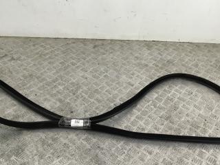 уплотнитель двери BMW 5 серия F10/F11 [рестайлинг] F10 2016, 2.0 л., B47 D20 A, дизель, АКПП, spacegrau metallic (a52), седан, задний привод, правый руль, 51767182287