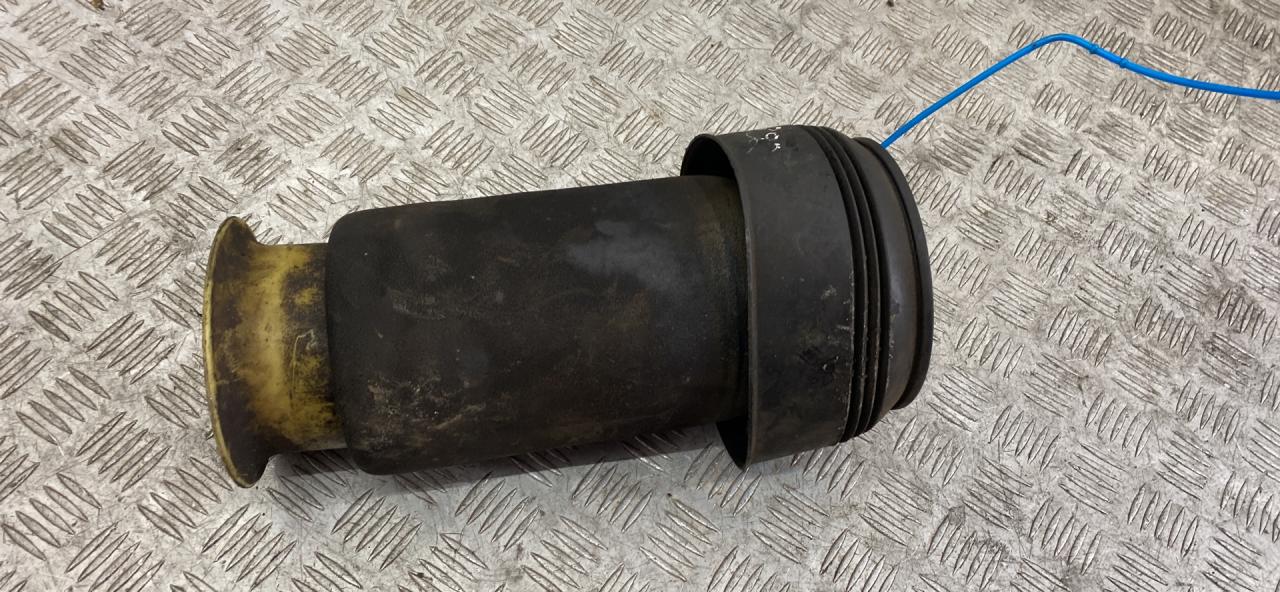 пневмоподушка BMW X5 E70 2009, 3.5 л., M57D30 (306D5), дизель, АКПП, titansilber metallic (354), внедорожник 5 дв., полный привод, правый руль, 37126790080, 6790080 - фото №1