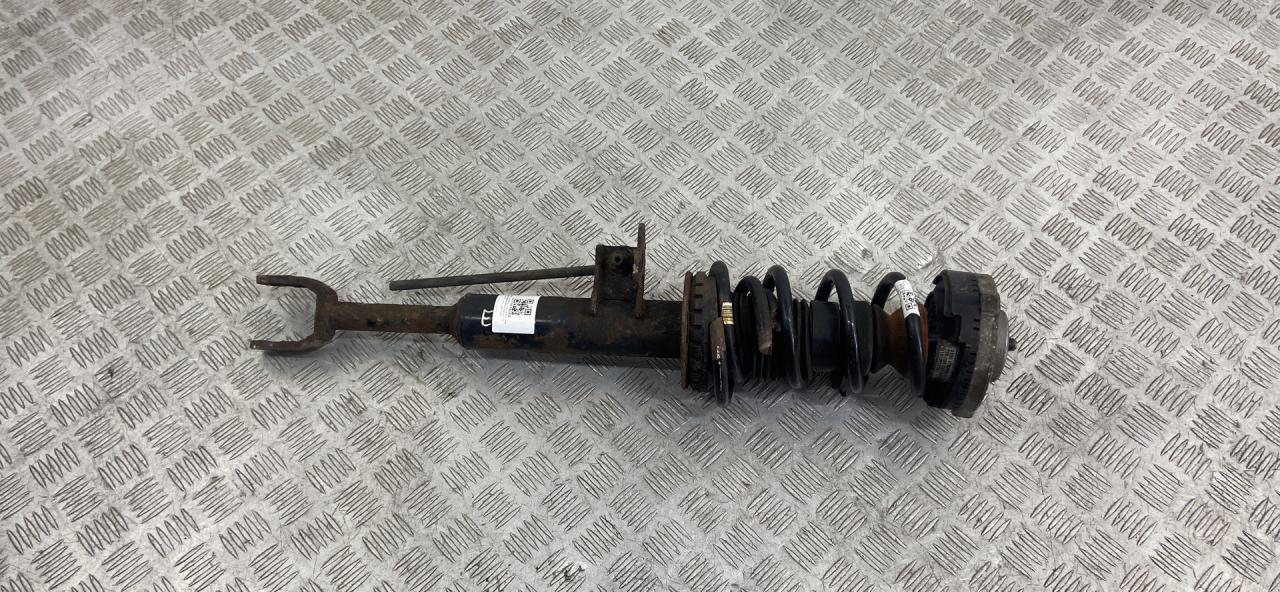 амортизатор передний левый BMW 5 серия F07/F10/F11 F10 2011, 2.0 л., N47 D20 C, дизель, АКПП, a90 (sophitgrau), седан, задний привод, правый руль, 31316789365 - фото №1