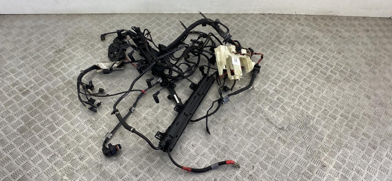 проводка двигателя BMW 3 серия E90/E91/E92/E93 E92 2007, 3.5 л., M57D30 (306D5), дизель, АКПП, купе, задний привод, правый руль, 12517796081, 12517799736 - фото №1