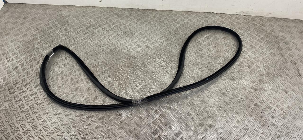 уплотнитель двери BMW 3 серия E90/E91/E92/E93 E92 2007, 3.5 л., M57D30 (306D5), дизель, АКПП, купе, задний привод, правый руль, 51767175783, 7119091 - фото №1